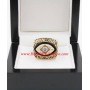 1976 Minnesota Vikings National Football Conference Championship Ring, Custom Minnesota Vikings Champions Ring