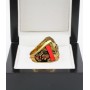 1993 UCLA Bruins Pac Ten  Men's Football Rose Bowl College Championship Ring