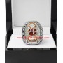 2015 Clemson Tigers ACC Men's Football College Championship Ring, CustomClemson Tigers Champions Ring