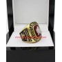 1995 - 1996 Colorado Avalanche Stanley Cup Championship Ring, Custom Colorado Avalanche Champions Ring